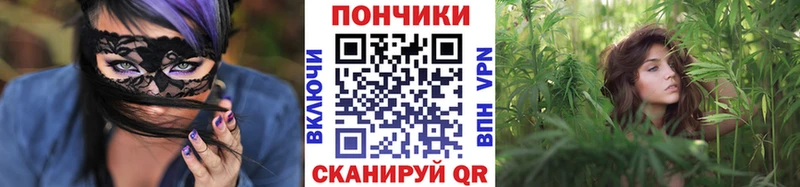 Где продают наркотики Назрань Бошки Шишки  МЕФ  Кокаин  АМФ  Псилоцибиновые грибы  ГАШ 