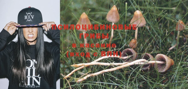 индика Липки
