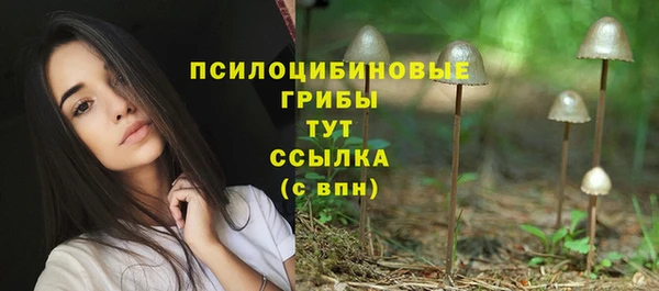 индика Липки