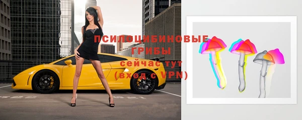 индика Лиски