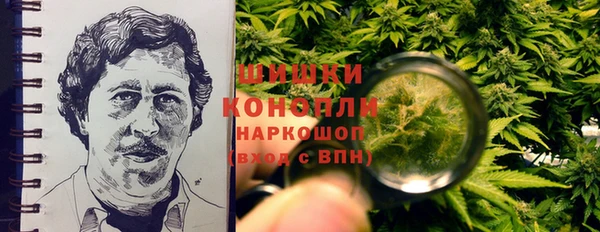 молекула духа Магас