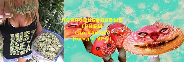 индика Липки