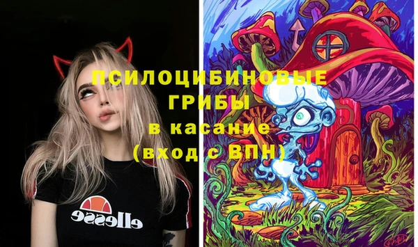 каннабис Майский