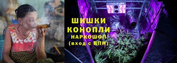 индика Липки