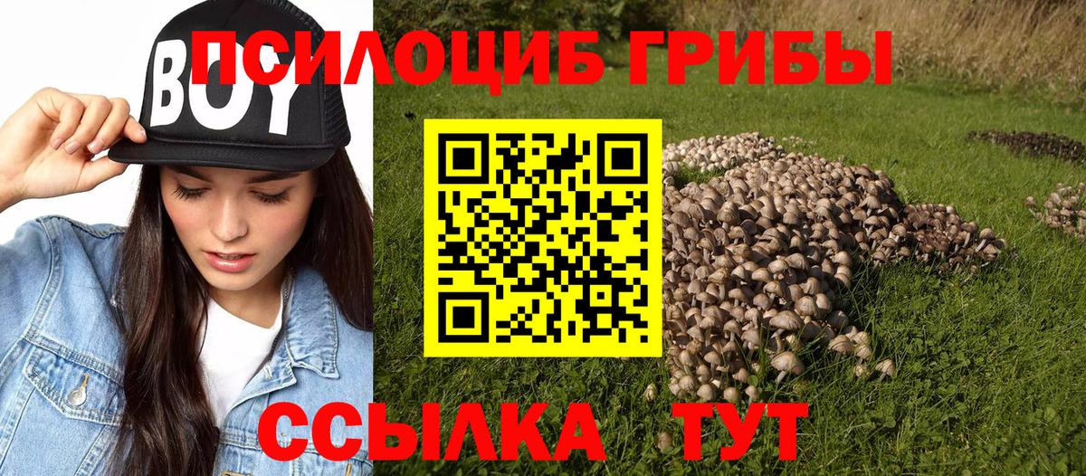 Галлюциногенные грибы Magic Shrooms Назрань