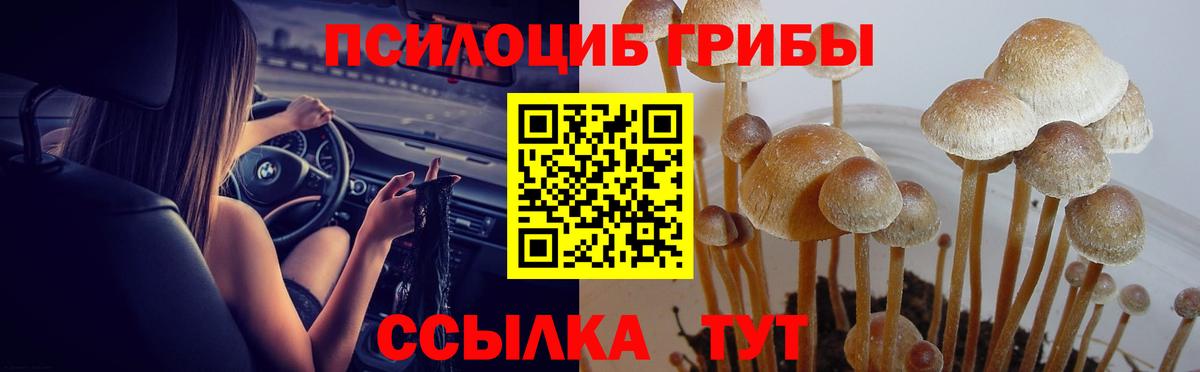 Псилоцибиновые грибы мухоморы  Псилоцибиновые грибы ЛСД  сколько стоит  Вход с VPN  Назрань 